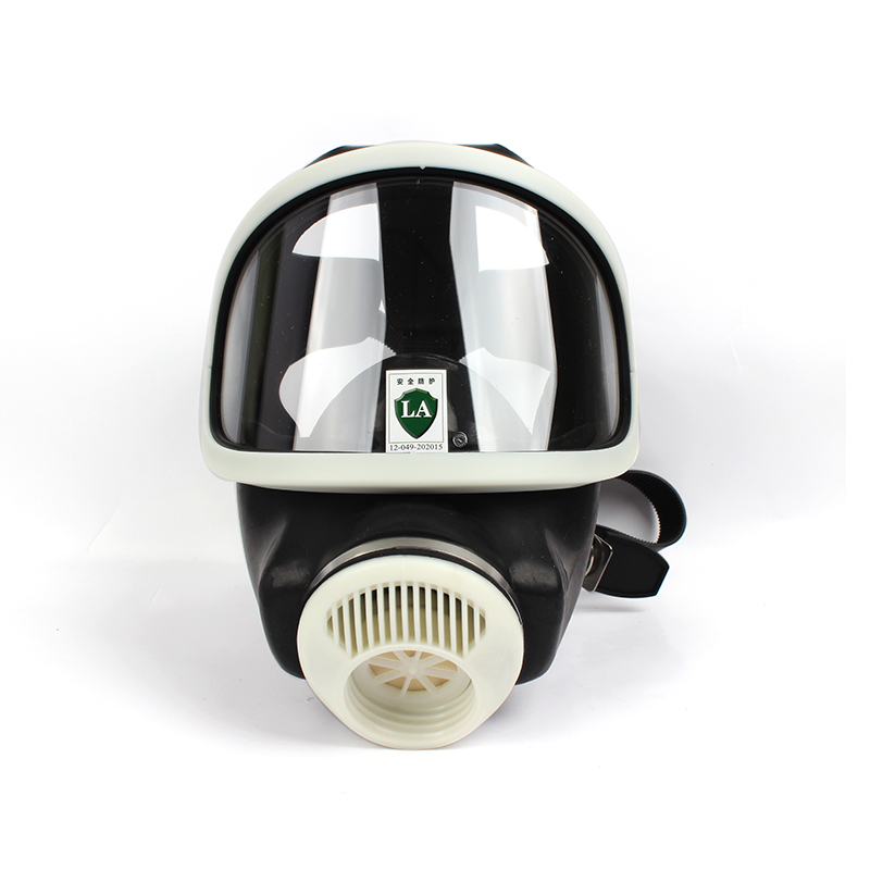 MSA梅思安D2055790全面罩防毒面具圖片5