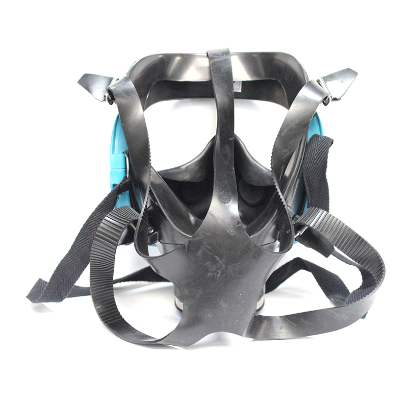 霍尼韋爾(巴固)1710643藍(lán)色全面罩防毒面具圖片2
