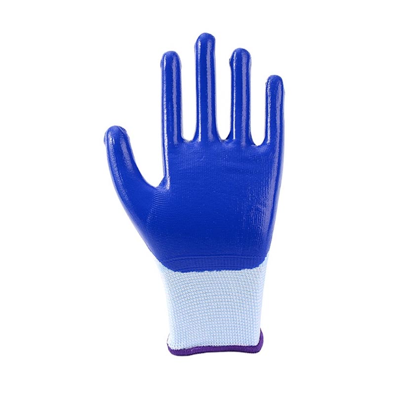 牛郎星白紗藍(lán)勞保手套圖片2