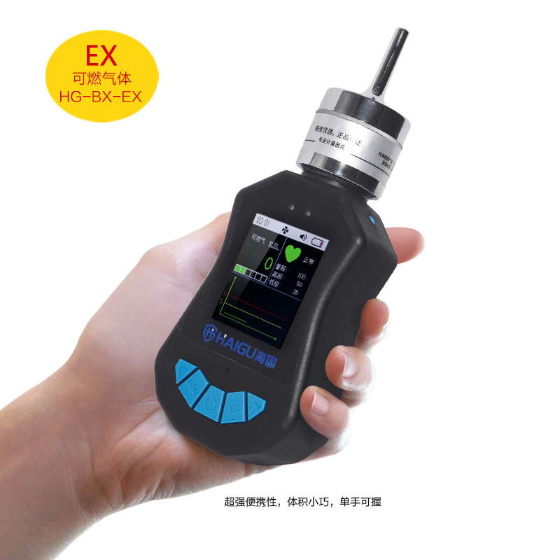 海固HG-BX-EX可燃氣體泵吸式氣體檢測儀圖片2