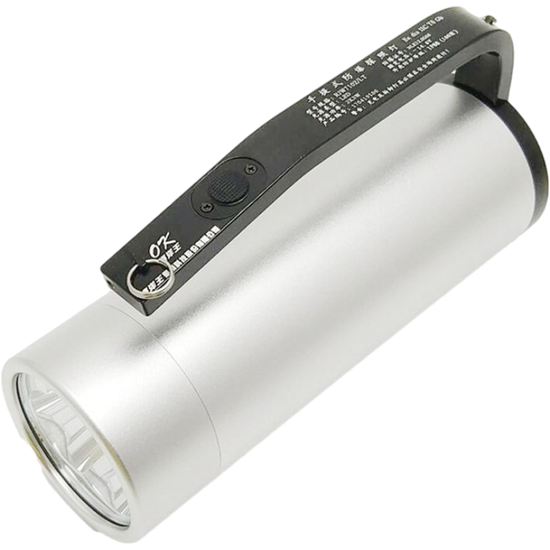 海洋王RJW7101手提式防爆手電筒圖片2