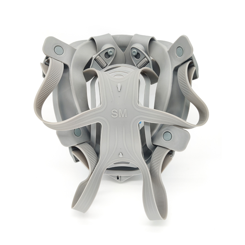 定和DH20152雙濾盒全面罩防毒面具圖片3