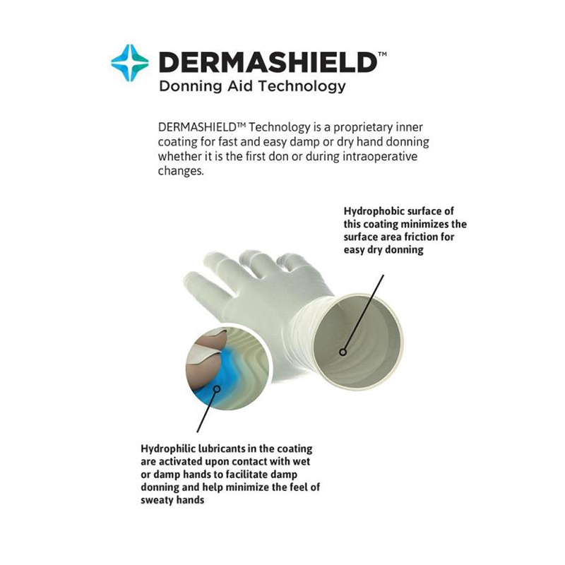 安思爾GAMMEX 340006090氯丁橡膠外科手套圖片3