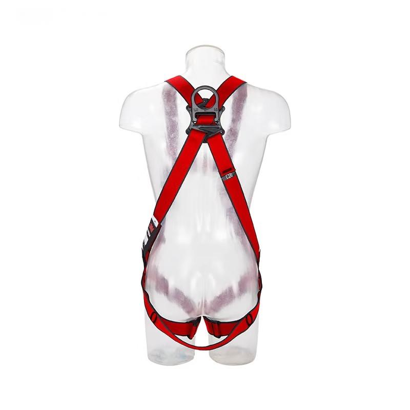 3M1161729保泰特P200五點式全身式安全帶圖片1