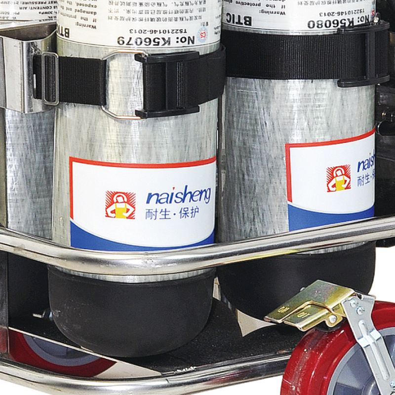 耐生82050011C 9L進口碳瓶車載式移動供氣推車圖片1 耐生82050011C 9L進口碳瓶車載式移動供氣推車圖片1