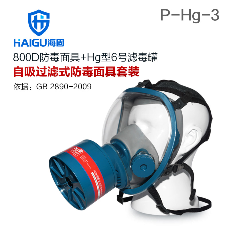 海固HG-800D P-Hg-3全面罩水銀防毒面具