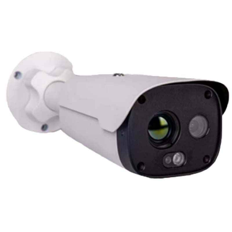 大立DLD-TS203雙光譜測溫槍機