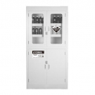 西斯貝爾ACP810045B PP藥品存儲(chǔ)柜 西斯貝爾ACP810045B PP藥品存儲(chǔ)柜