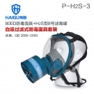 海固HG-800D P-H2S-3硫化氫活性炭防毒面具