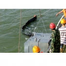 新絡(luò)DXS100動(dòng)態(tài)斜面收油機(jī)