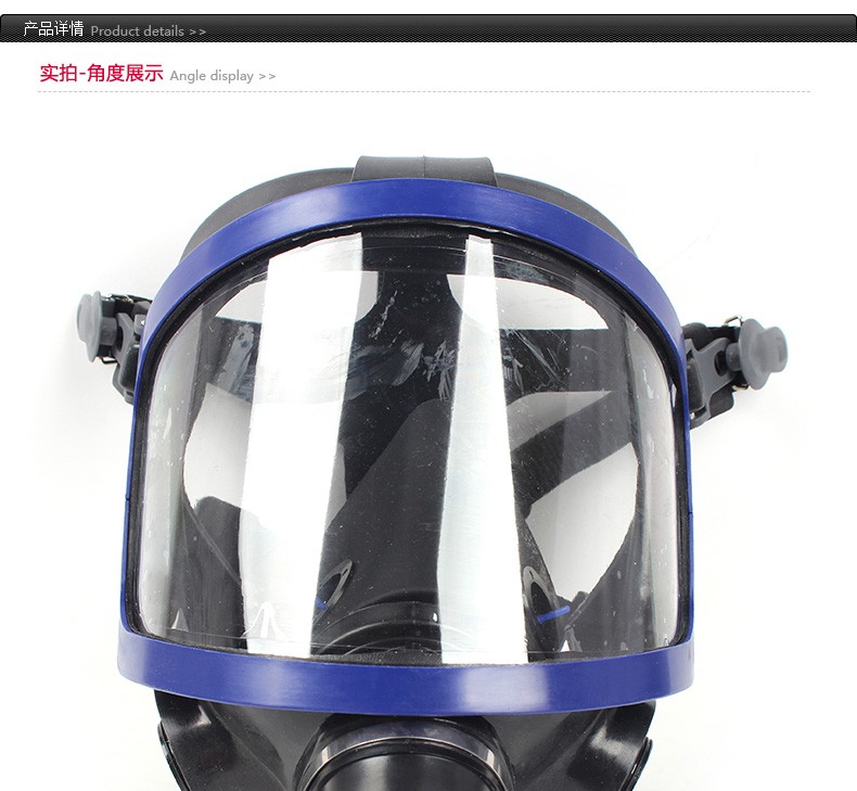 南核9006防毒面罩圖片4