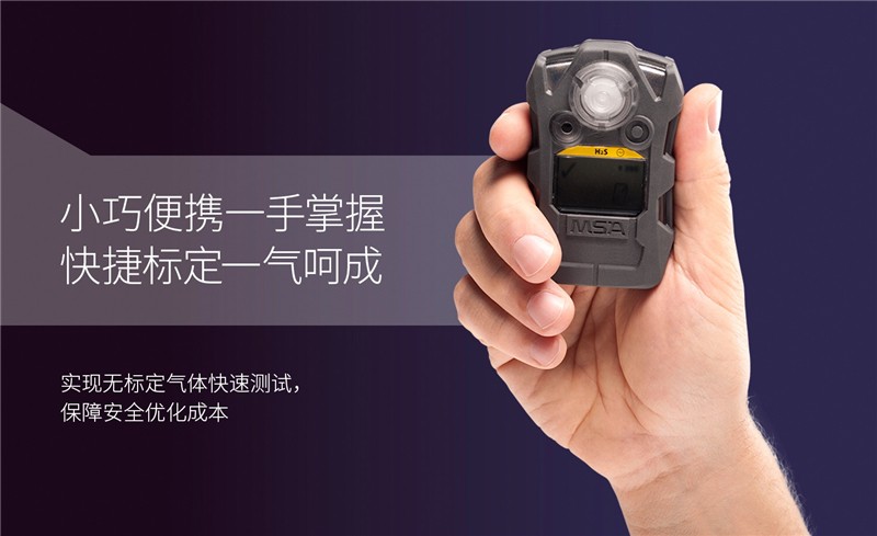 梅思安10196221（國產版）天鷹2XT雙氣體檢測儀圖片3