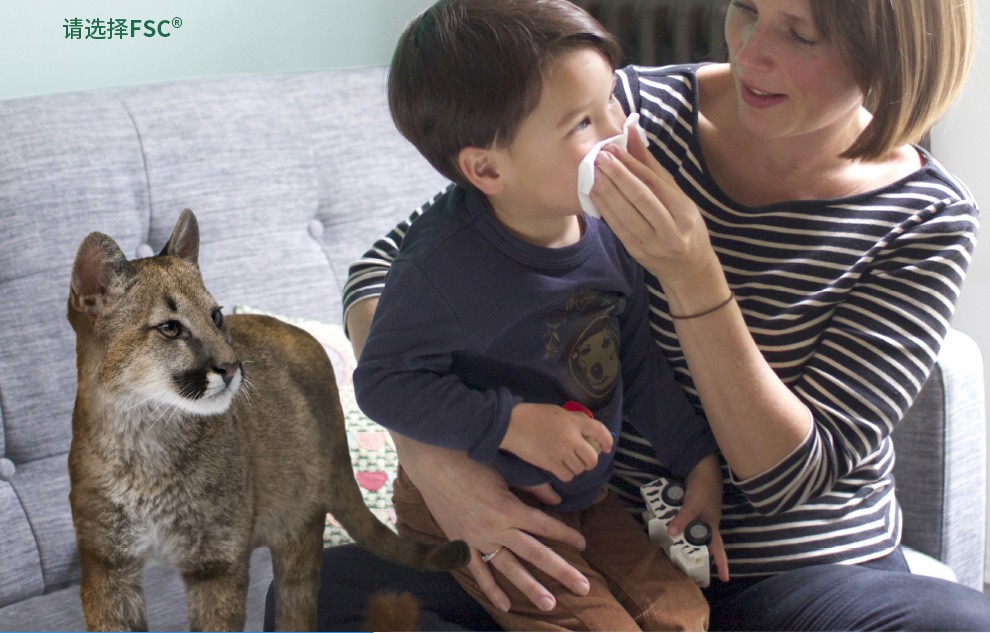 金佰利0382-20舒潔雙層抽取式衛生紙圖8