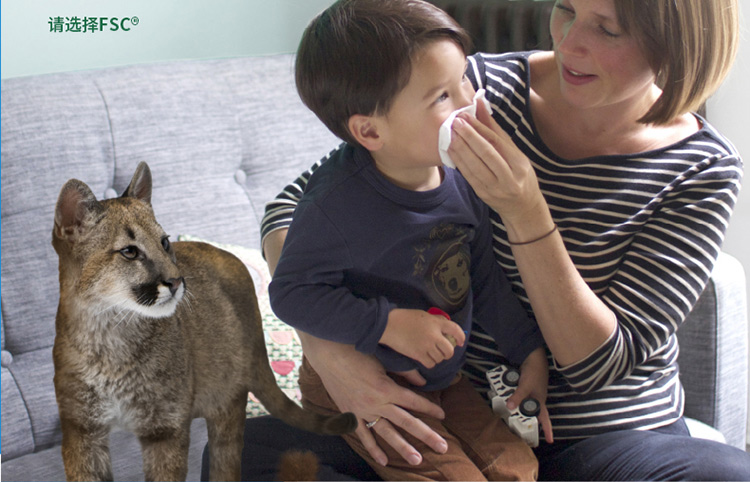 金佰利28620CSOTT AIRFLEX擦手紙圖7