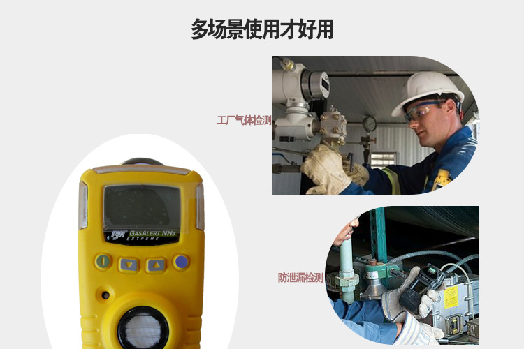 BW GAXT-N-DL便攜式單一一氧化氮?dú)怏w檢測(cè)儀圖片2
