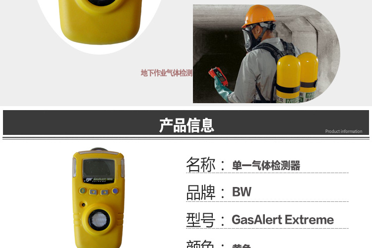 BW GAXT-N-DL便攜式單一一氧化氮?dú)怏w檢測(cè)儀圖片3