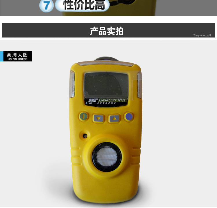 BW GAXT-N-DL便攜式單一一氧化氮?dú)怏w檢測(cè)儀圖片5