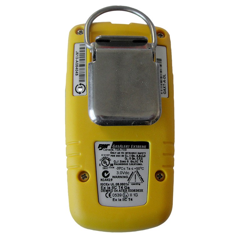 BW GAXT-N-DL便攜式單一一氧化氮?dú)怏w檢測(cè)儀圖片8