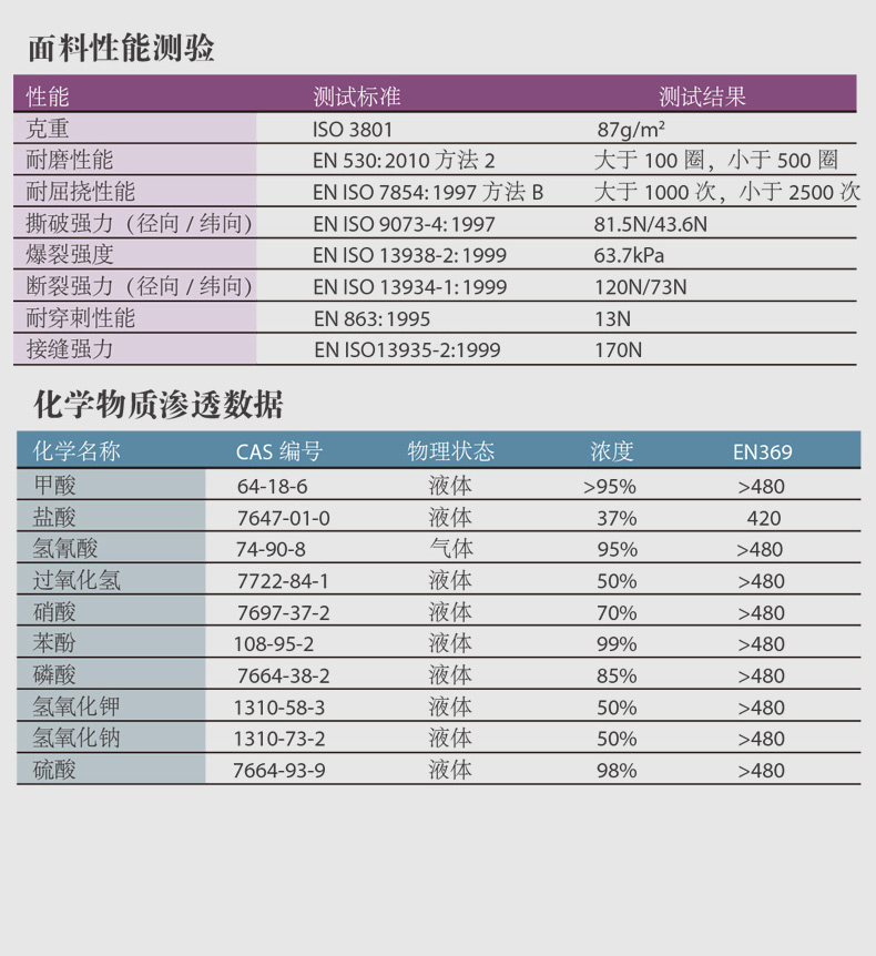 雷克蘭C1THDY02凱麥斯1防化頭罩圖片5