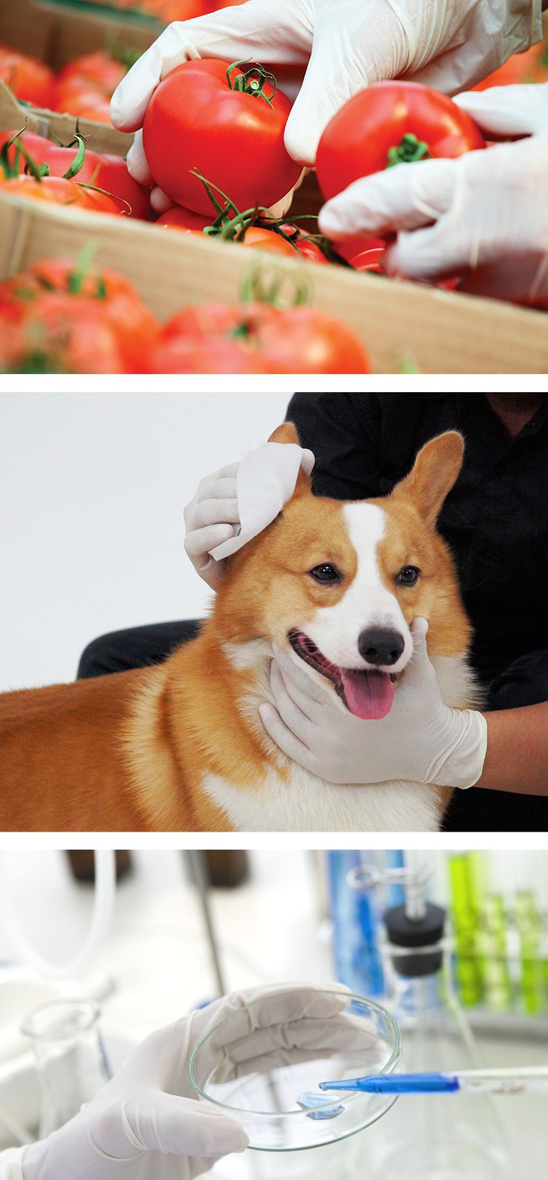 施?？礔860天然乳膠檢查手套圖片8