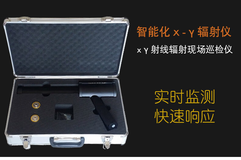 SMACH RP6000便攜式核輻射檢測(cè)儀圖片1
