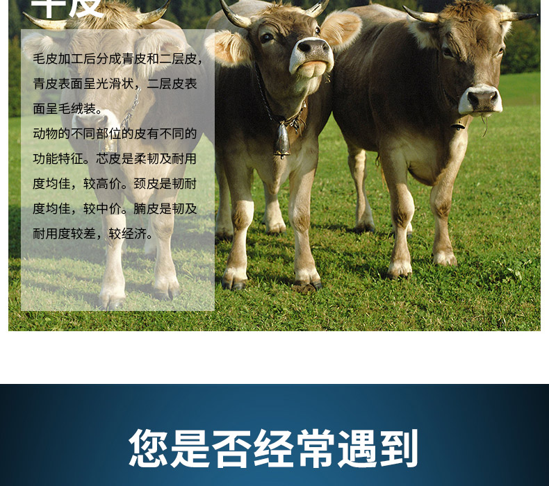 友盟AP-1510耐磨抗穿插牛二層皮勞保手套圖片5