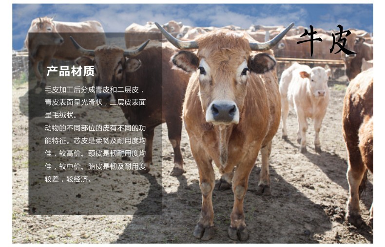 友盟AP-1102防火隔熱牛青皮電焊手套圖片8