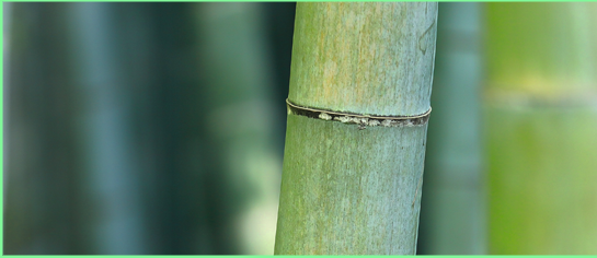 uvex新品uvex 1 x-craft planet安全鞋 新款環保安全鞋11