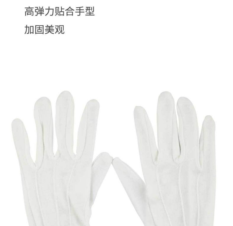 漢盾HD-GP5502滌綸背三筋帶扣禮儀勞保手套5