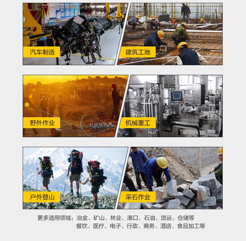 賽獅S4001防砸防靜電安全鞋7