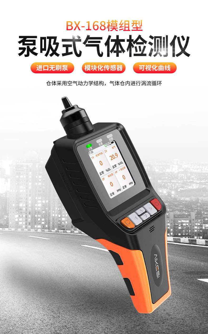 愛德克斯BX-168泵吸式氣體檢測儀1.jpg