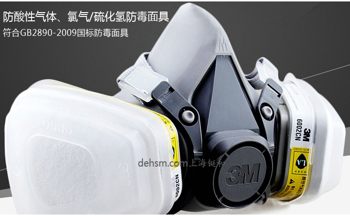 3M6200+6002防硫化氫及酸性氣體防毒面具