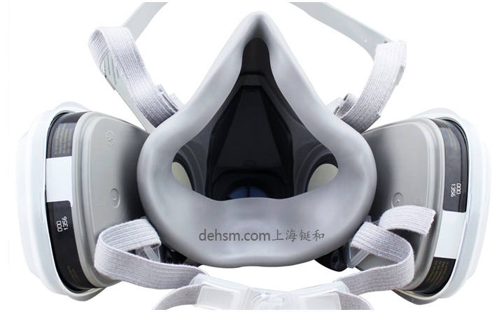 3M6200+6005防有機氣體及甲醛防毒面具圖片-反面