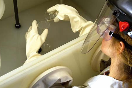 戴防化手套進行化學實驗